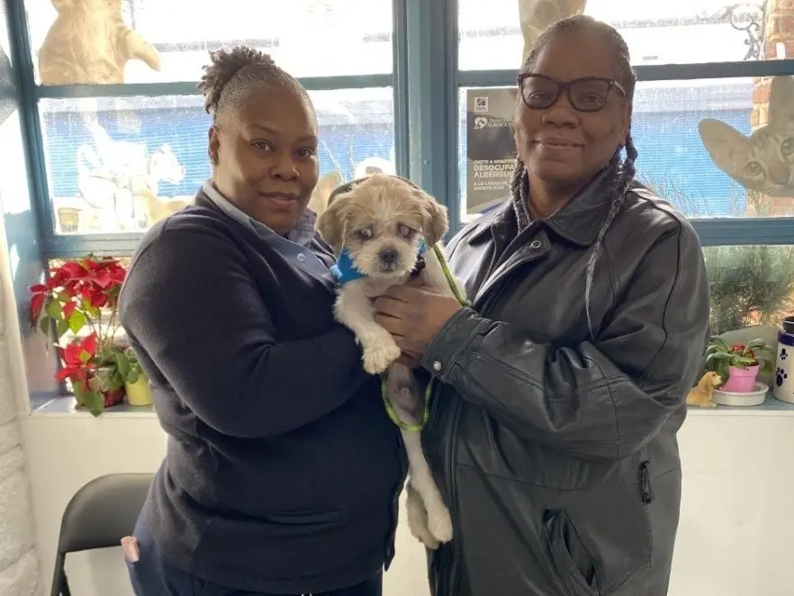 275816735 5073360142746594 8577479687396177462 n 14161009175