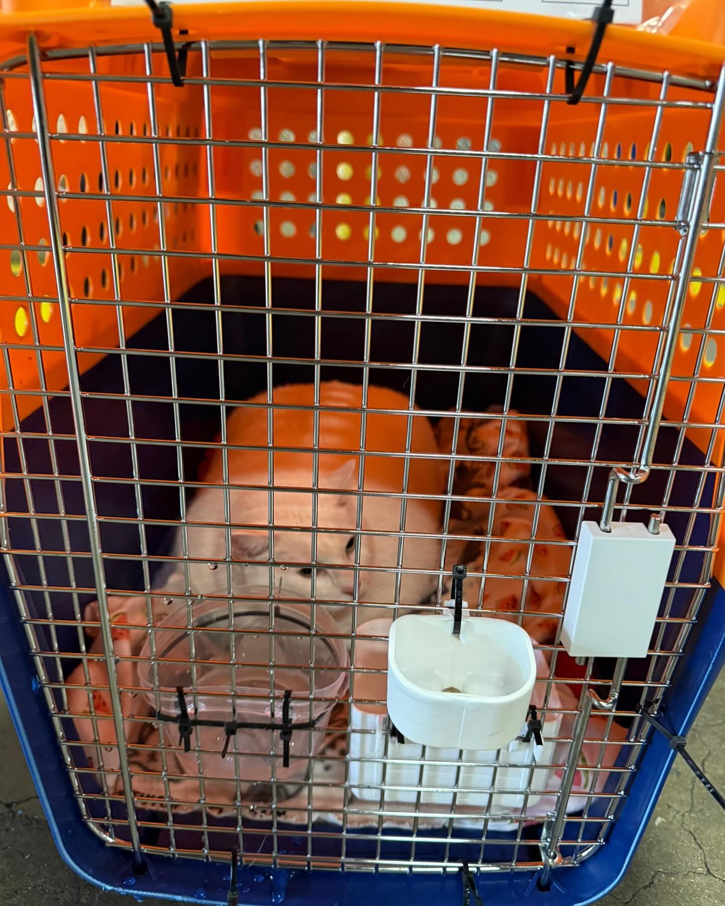 472501026 18055291313509559 5786710455652941148 n copy