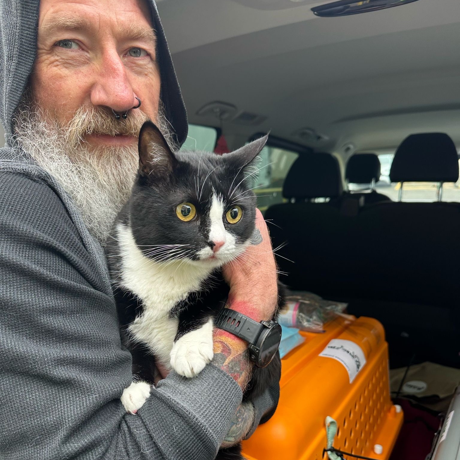 497882910 1254909053306904 6306412151217835663 n