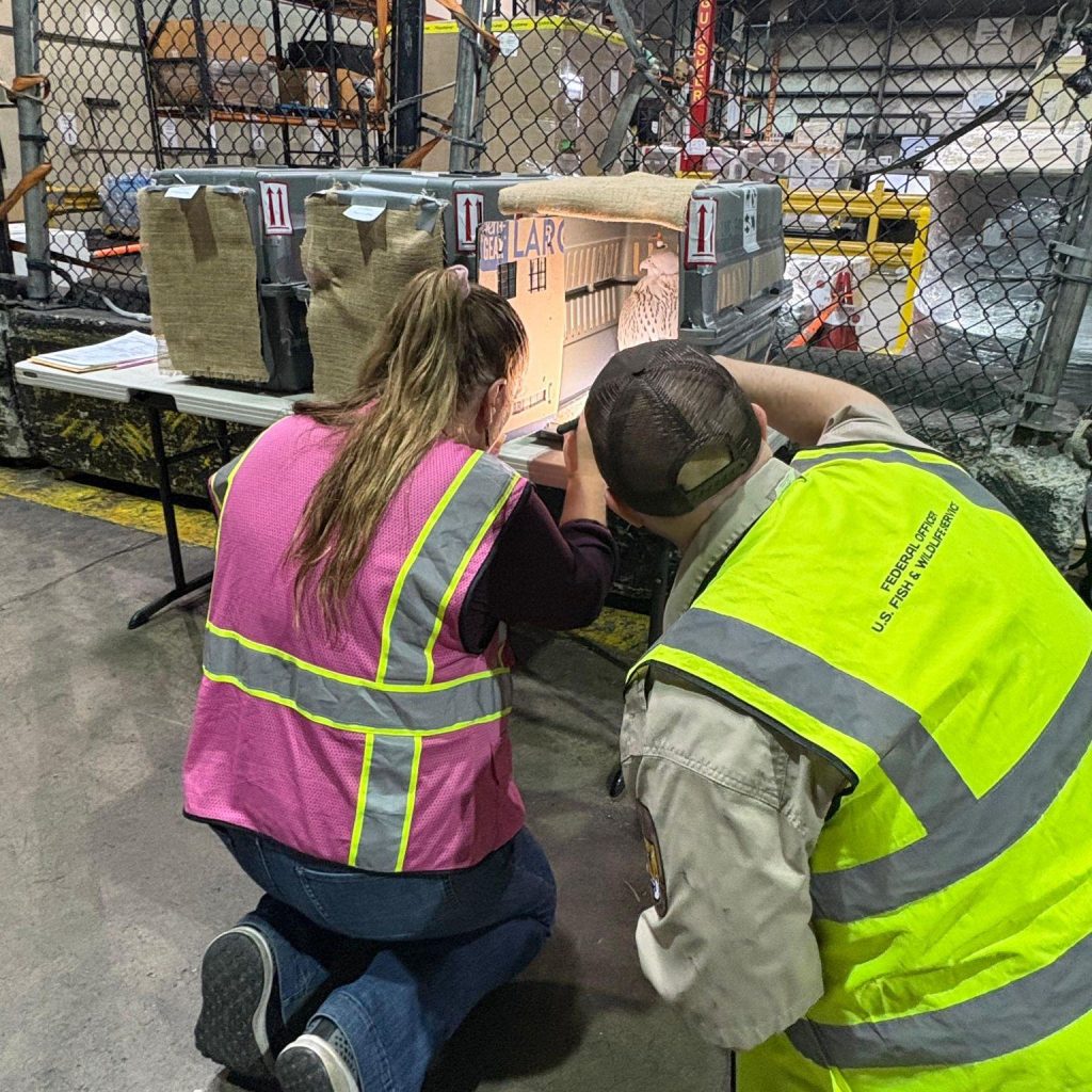 539729504 1361256679338807 6005359371576034963 n