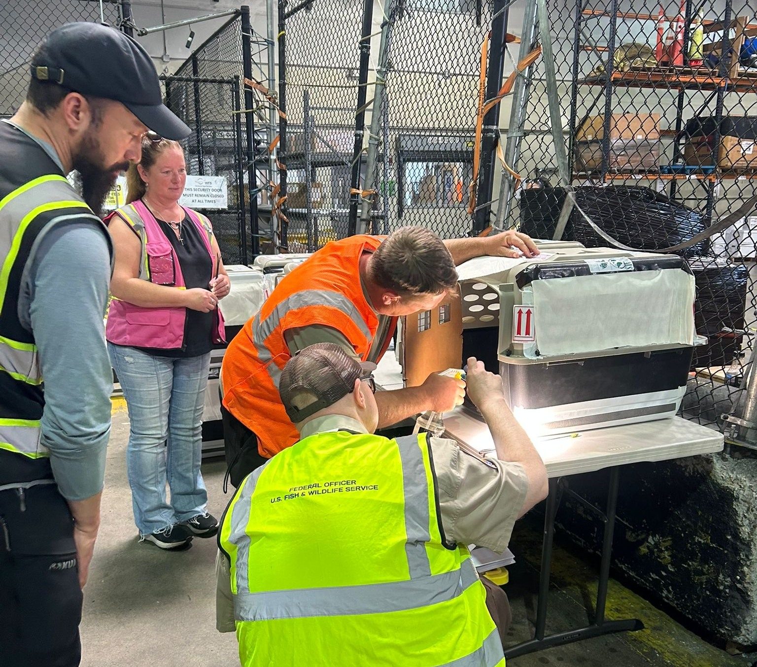 540218612 1361256672672141 7482080203749909062 n