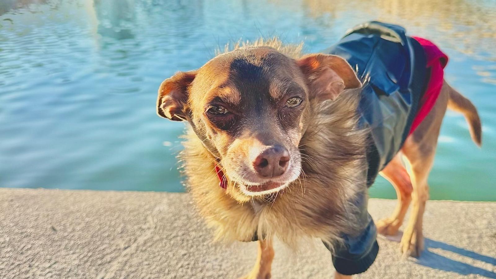 paulguilbeault 2 ht jm 250128 1738102666888 hpmain 16x9 1600