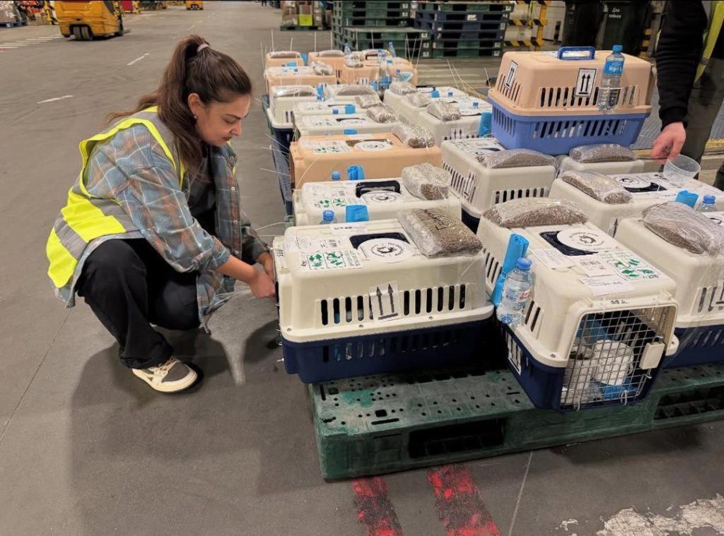 whatsapp image 2025 12 07 at 4.34.55 am