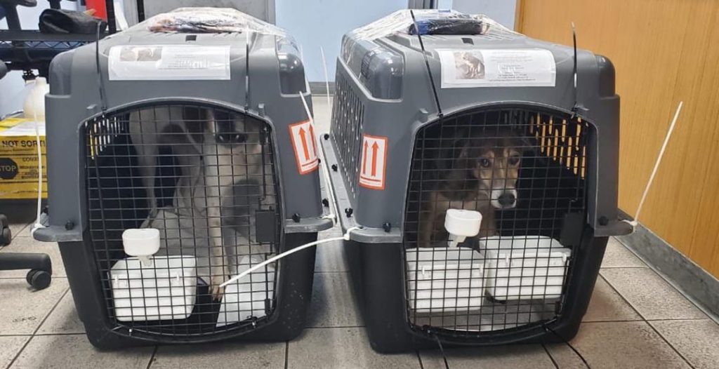 whatsapp image 2025 12 07 at 4.34.57 am (4)