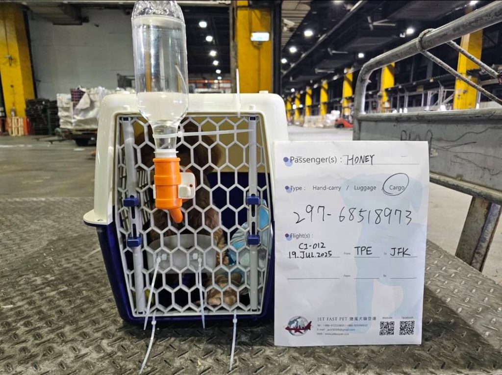 whatsapp image 2025 12 07 at 4.34.58 am (1)