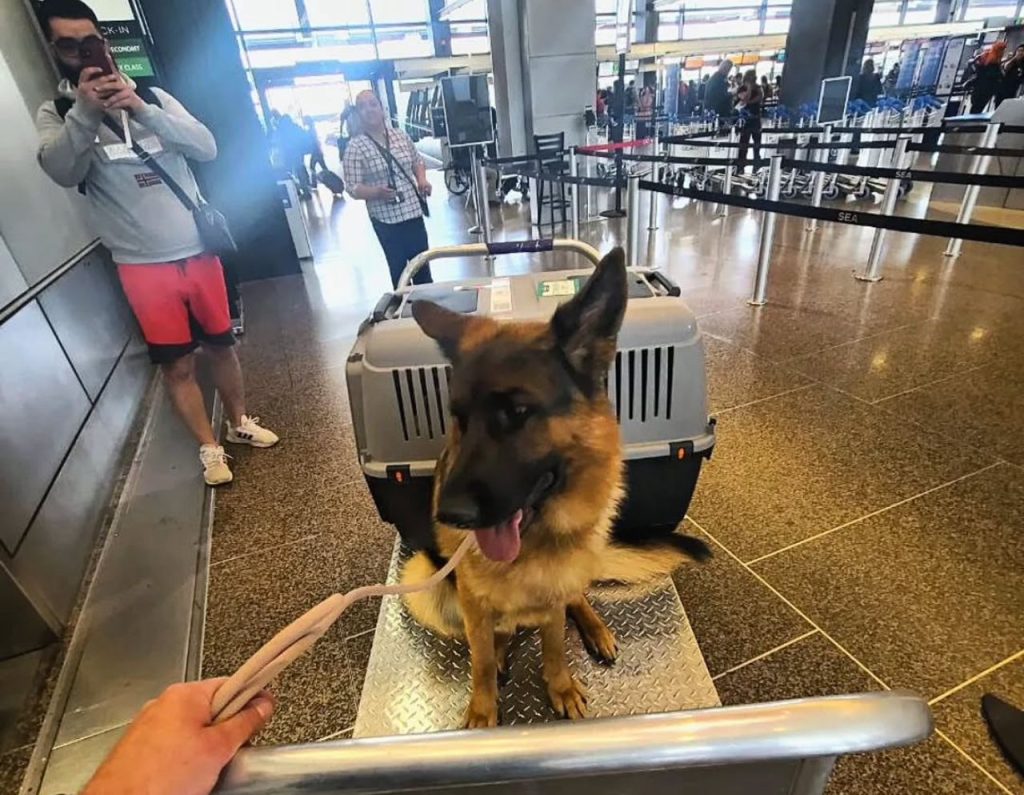 whatsapp image 2025 12 07 at 4.44.28 am (1)