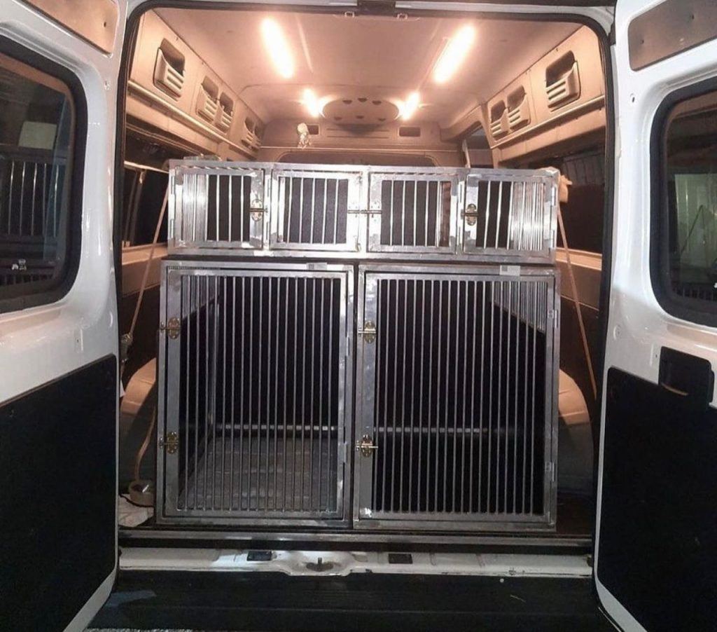 whatsapp image 2025 12 10 at 1.54.42 pm (2)