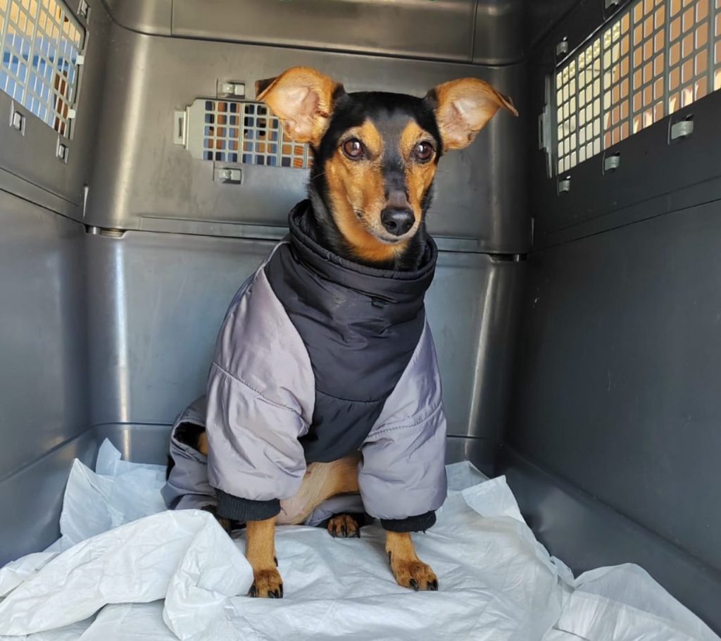 whatsapp image 2025 12 10 at 1.54.43 pm (2)