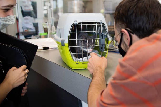 istockphoto 1344831274 612x612