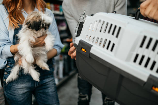 istockphoto 1370565923 612x612