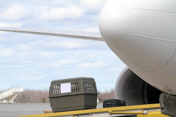 istockphoto 460519347 612x612