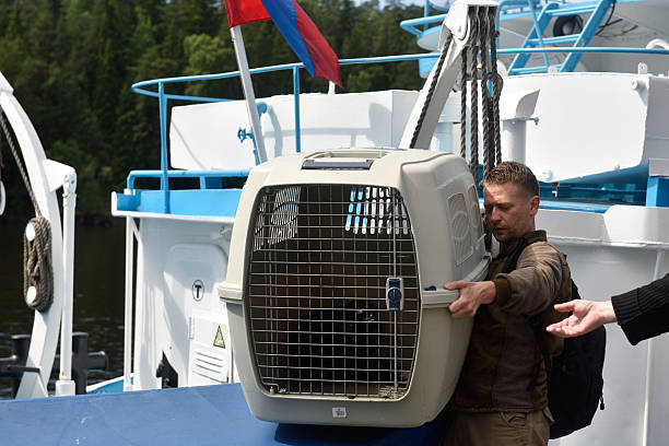 istockphoto 501945574 612x612