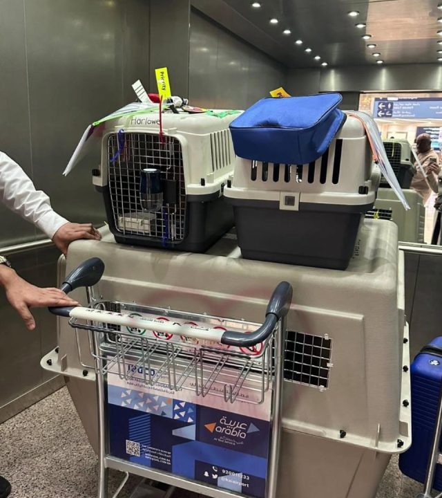 whatsapp image 2025 12 07 at 12.39.56 pm (1)